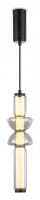 Подвесной светильник Ambrella Light LH LH11021