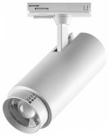 Светильник на штанге Lightstar Fuoco P+CCT 218026