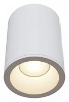 Накладной светильник Maytoni Zoom C029CL-01W