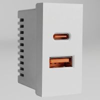 Розетка 2хUSB type A и C без рамки Werkel  W1272701