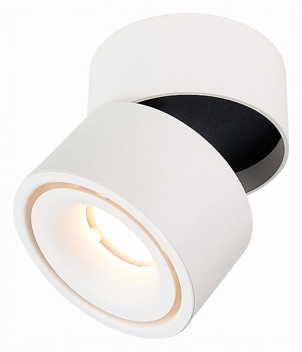 Светильник на штанге ST-Luce ST652 ST652.532.12