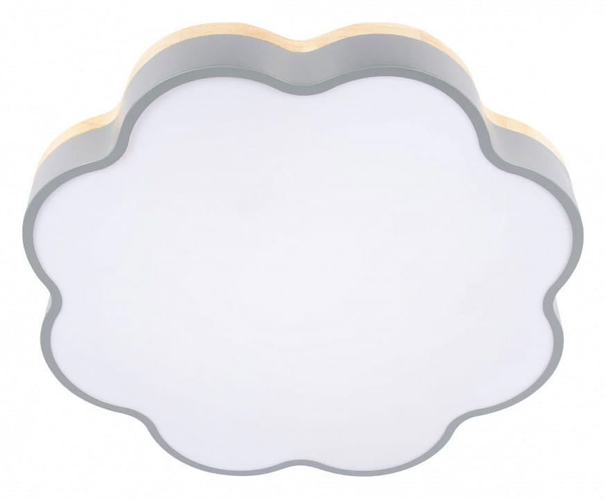 Накладной светильник Loft it Axel 10225/36 Grey