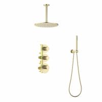 Душевой гарнитур Timo Saona SX-2399/17SM золото матовое