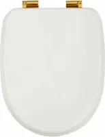 Крышка-сиденье для унитаза Migliore Gianeta 20954 микролифт, белый