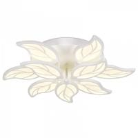 Накладной светильник Ambrella Light FA FA460