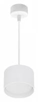 Подвесной светильник Reluce Technical 53006 53006-0.9-001LD GX53 WT