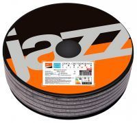 Лента светодиодная Jazzway MVS MVS-2835/60-IP68-220V-6500K-W-1m
