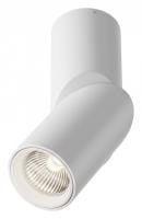 Светильник на штанге Maytoni Technical Дафна C027CL-L10W4K