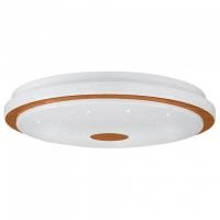 Накладной светильник Eglo Lanciano 1 900598