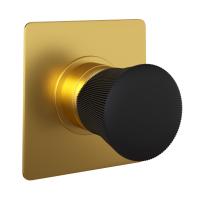 Смеситель для душа Paini Domus 18PJ690PZ золото матовое