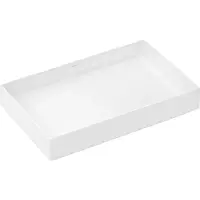 Раковина-чаша Hansgrohe Xuniva Evo E 60326450 65x40 см, накладная, белый глянец