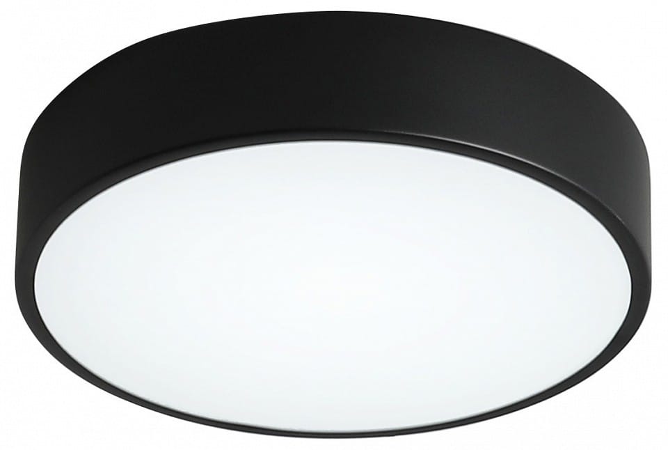 Накладной светильник Zortes Tortty ZRS.02563.48