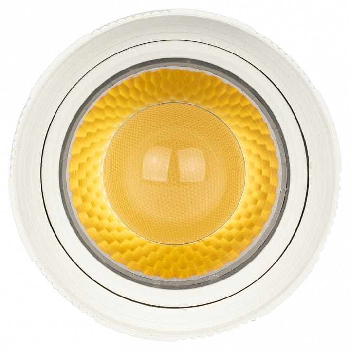 Светильник на штанге Эра  TR59 - 2040 WH