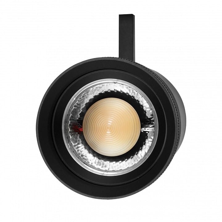 Светильник на штанге Lightstar Canno Pro 304407