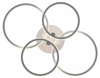 Накладной светильник Freya  FR10018CL-L40W