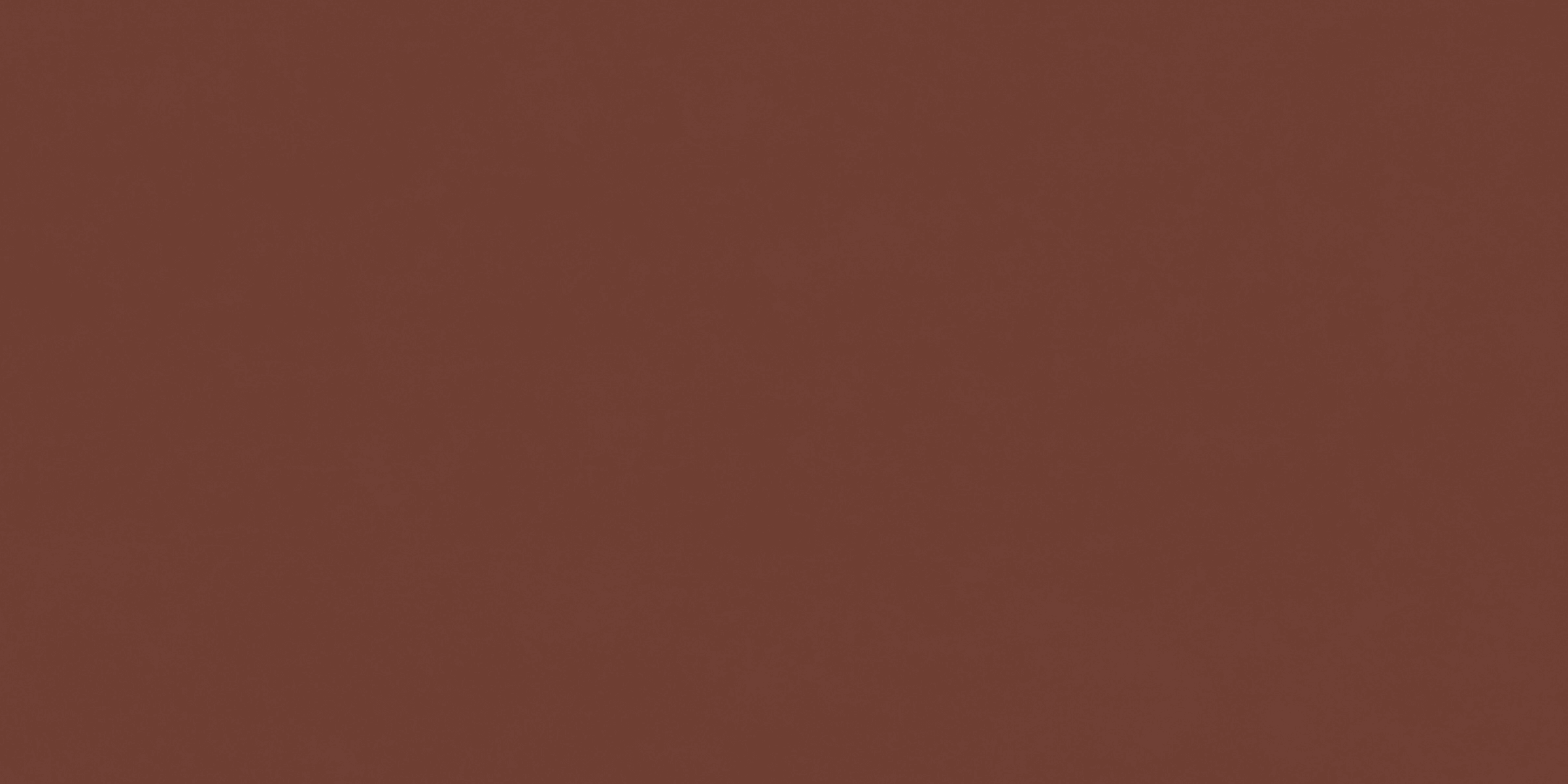 Italon Настенная плитка Surface Wall Project Настенная керамическая плитка Exclusive Red 80x160 натуральный