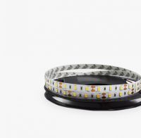 Лента светодиодная LEDS POWER  004303