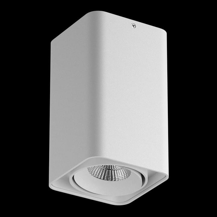 Накладной светильник Lightstar Monocco 052136