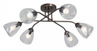 Потолочная люстра Vitaluce V4953-7/6PL