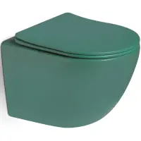 Унитаз подвесной SantiLine SL-5005T-G безободковый, торнадо, с сиденьем микролифт, зеленый матовый
