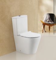 Унитаз-компакт безободковый BelBagno FLAY-R BB2149CPR с сиденьем BB2111SC