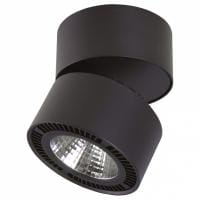 Накладной светильник Lightstar Forte Muro 214837