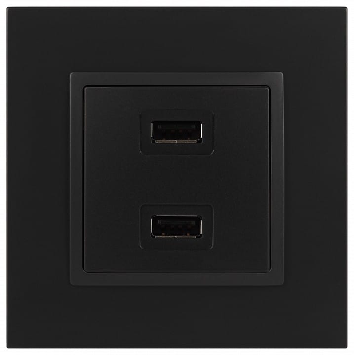 Розетка 2хUSB type A без рамки Эра Эра Elegance 14-4110-05