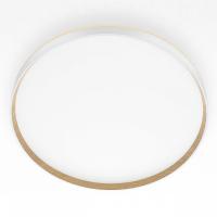 Накладной светильник Citilux ETALON CL750500R