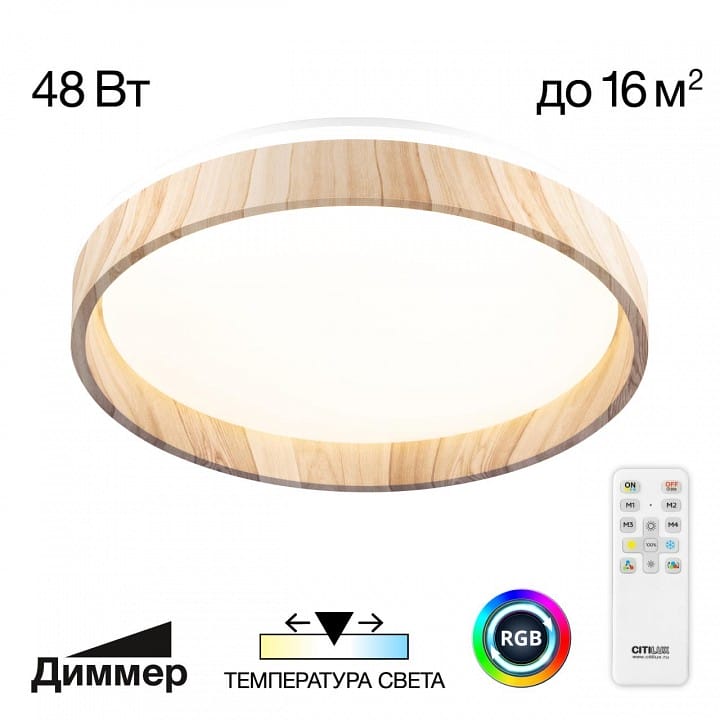 Накладной светильник Citilux ENZO CL753352G