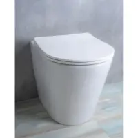 Приставной безободковый унитаз с сиденьем микролифт GID TRS-263