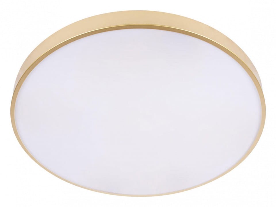Накладной светильник Loft it Flims 10228/B