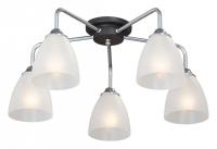 Потолочная люстра Vitaluce V4500 V4500-9/5PL