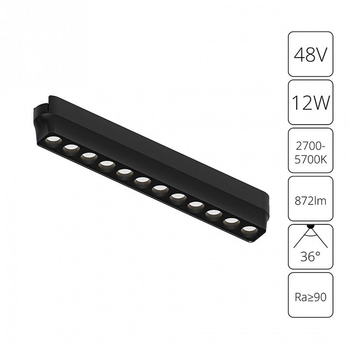 Накладной светильник Arte Lamp Rapid A2954PL-1BK