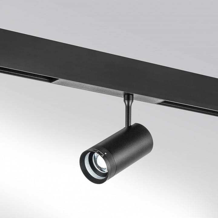 Светильник на штанге Lightstar Teta 205007