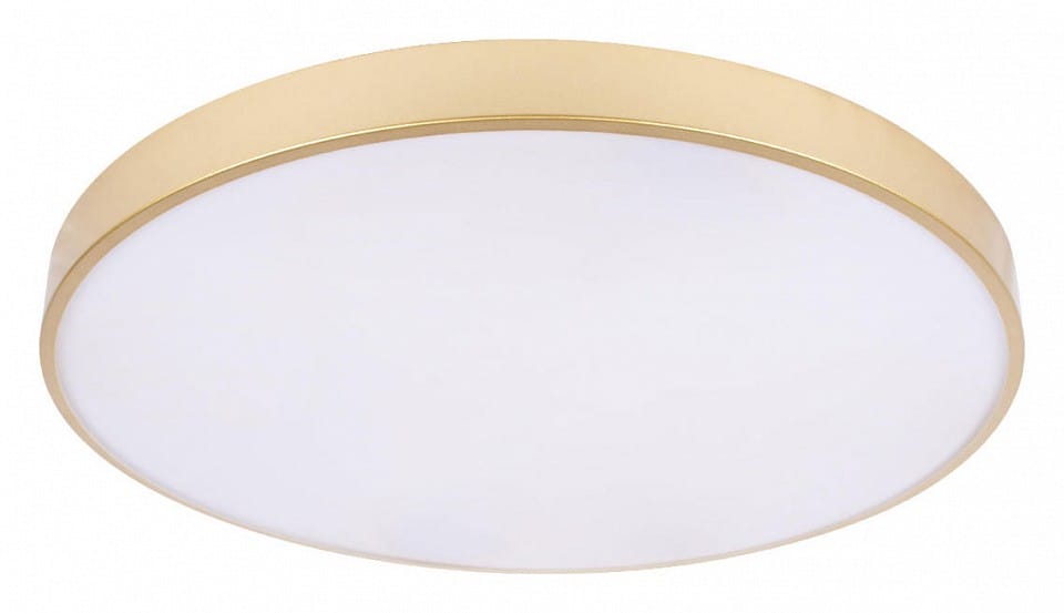 Накладной светильник Loft it Flims 10228/B