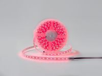 Лента светодиодная DesignLed DSG560 00-00001489