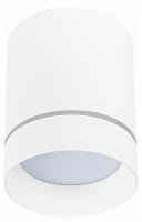 Накладной светильник ST-Luce ST115 ST115.542.12