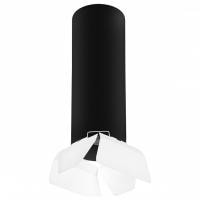 Накладной светильник Lightstar Rullo R6497486