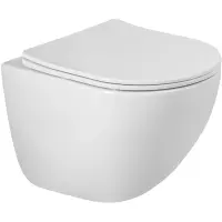 Унитаз подвесной BelBagno Amanda BB051CH-TOR-FC/SC безободковый, торнадо, с сиденьем микролифт, белый