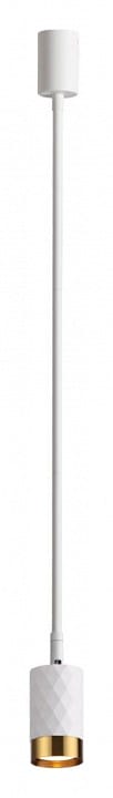 Светильник на штанге Odeon Light Ad Astrum 4350/1C