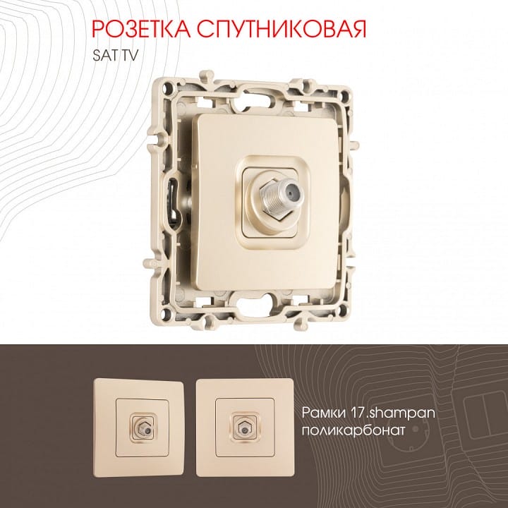 ТВ-розетка без рамки Arte Milano am-217 217.42-1.shampan
