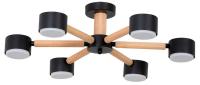 Потолочная люстра Arte Lamp TENDA A1624PL-6BK