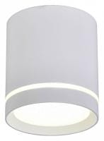 Накладной светильник Omnilux Capurso OML-102409-05