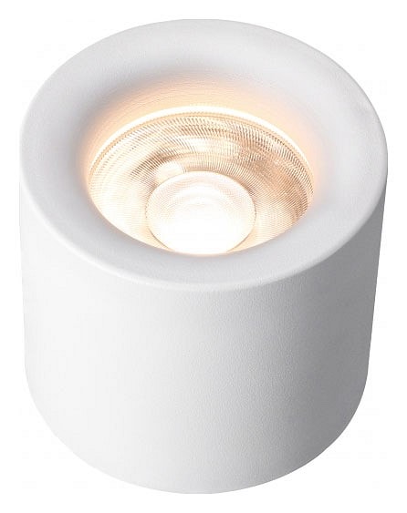 Накладной светильник iLedex Technical Metrica 113-12W-D100-3000K-24DG-WH