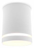 Накладной светильник Ambrella Light TN TN3202