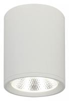 Накладной светильник Escada 20003 20003SMU/02LED SWH