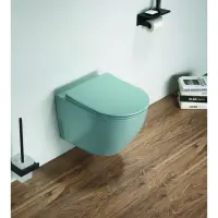 Унитаз подвесной CeramaLux 2197MLG безободковый, с сиденьем микролифт, бирюзовый матовый