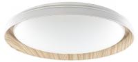 Накладной светильник Citilux MEGA CL752452G