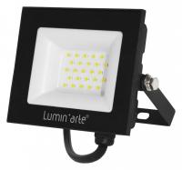 Настенно-потолочный прожектор Luminarte LFL-30W LFL-30W/06