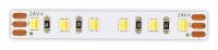 Лента светодиодная ST-Luce ST1003 ST1003.014.20CCT